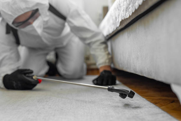 Professional Pest Control technician working in Midfield, AL