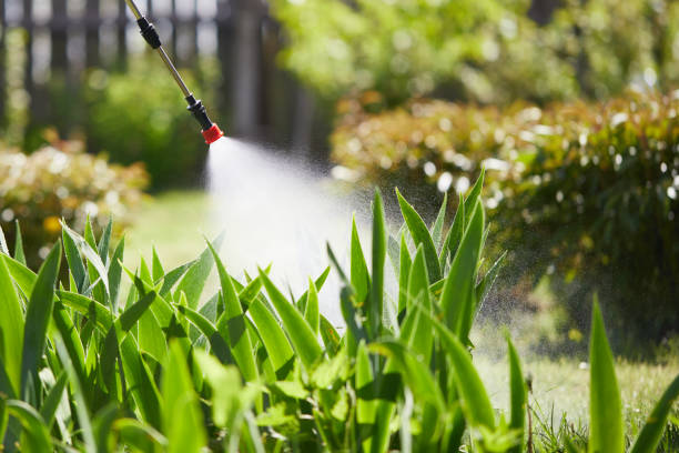 24/7 Emergency Pest Control experts in Midfield, AL